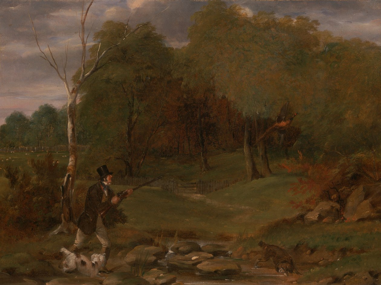 Tiro al fagiano da Edward Duncan