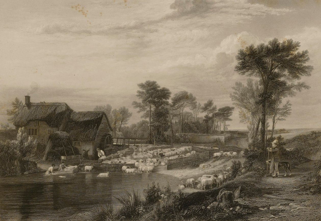 Lavaggio delle pecore da Edward Finden