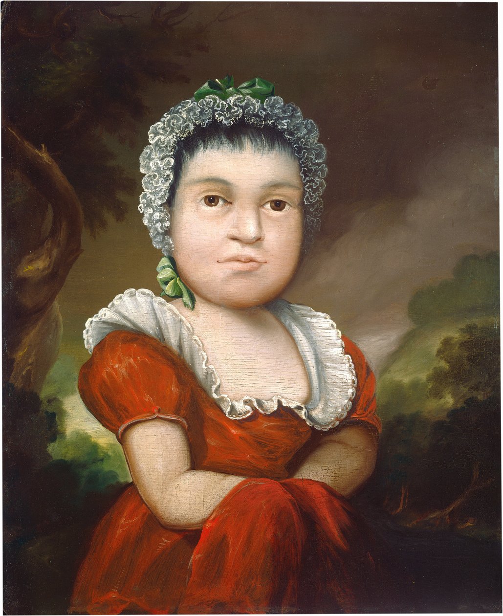 Ritratto di un bambino da Edward Hicks