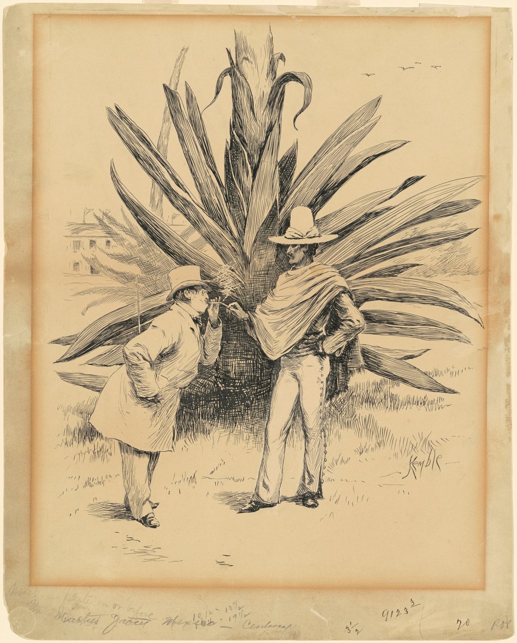 Cactus dal Messico da Edward Kemble
