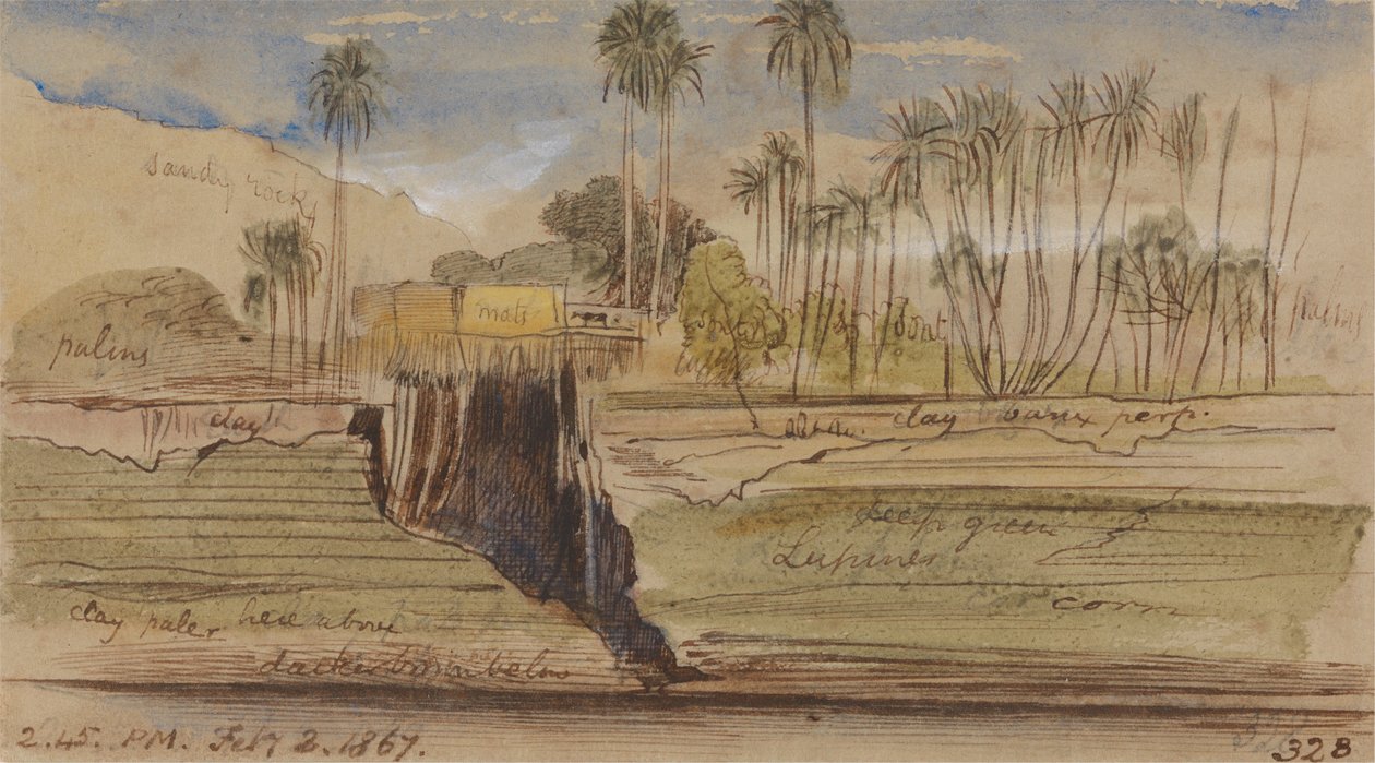 Tra Ibreem e Wady Halfeh, ore 14.45 del 2 febbraio 1867 (328) da Edward Lear