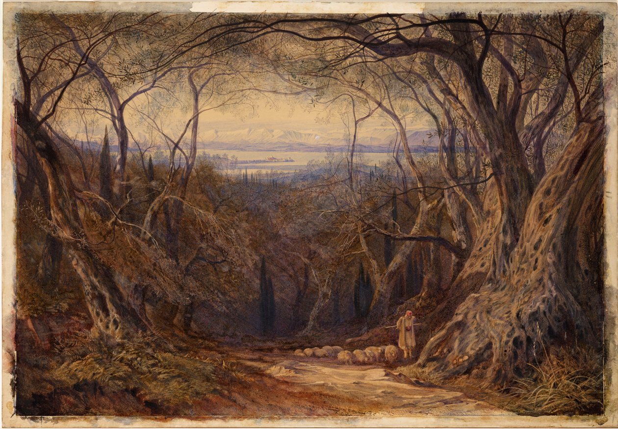 Corfù da Edward Lear