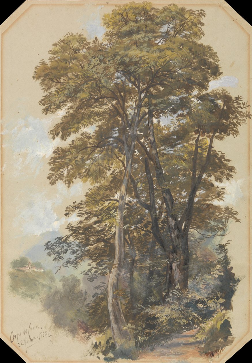Corpo di Cava, 28 June 1838 da Edward Lear