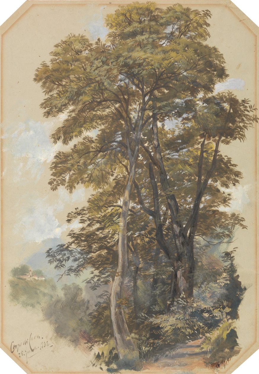 Corpo di Cava, 28 June 1838 da Edward Lear