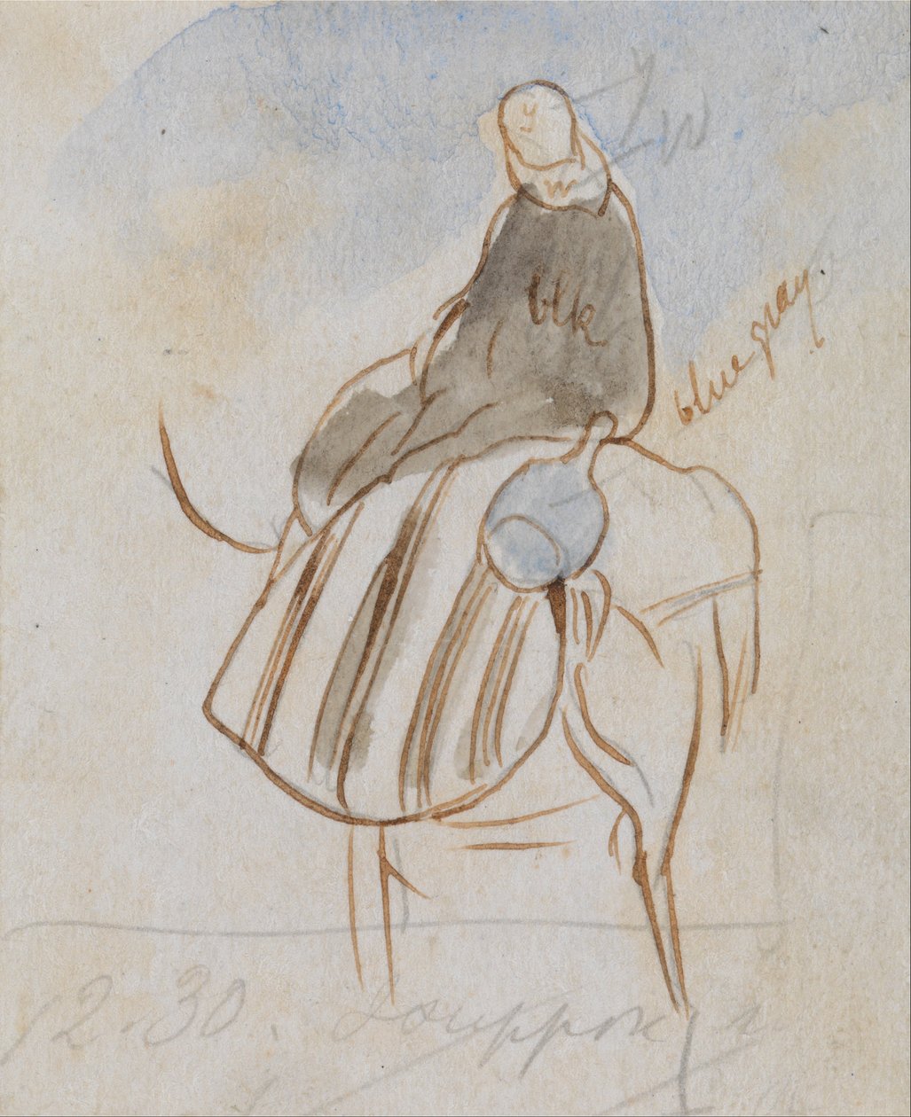 Uomo Egpytian su cammello da Edward Lear