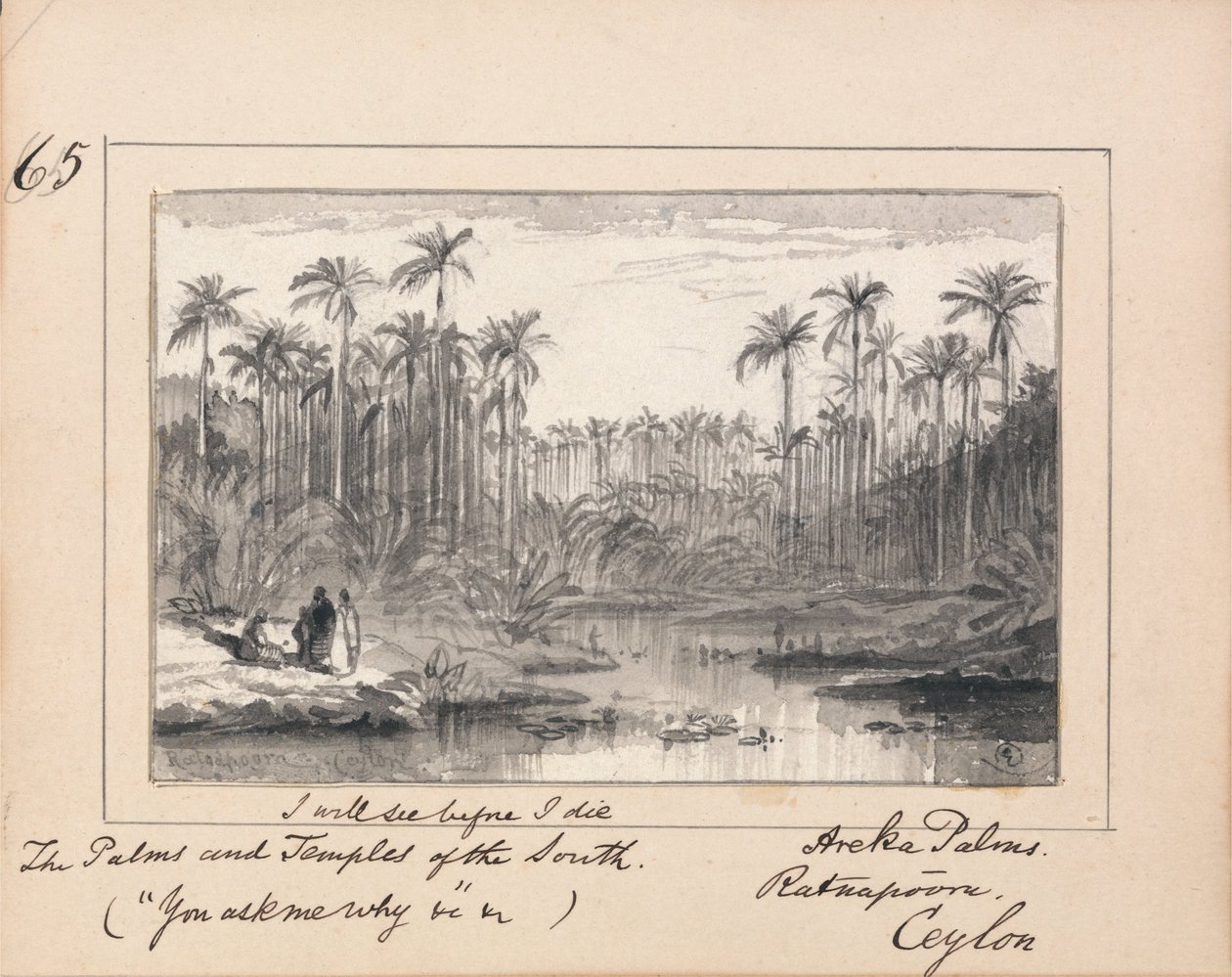 Illustrazione di "Tu mi chiedi perché" di Tennyson: Palme di Areka, Ratanapooru, Ceylon - "Vedrò prima di morire le palme e i templi del Sud". da Edward Lear