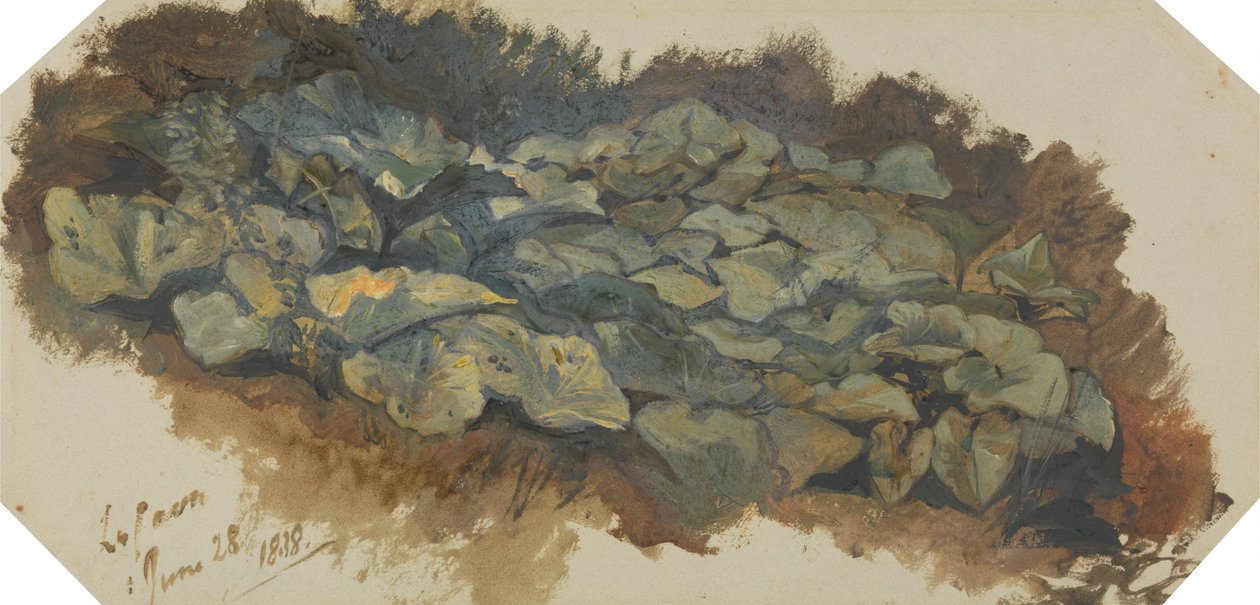 La Cava da Edward Lear