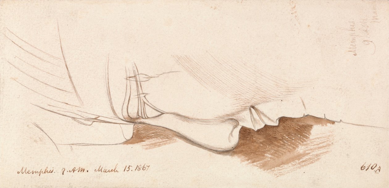 Memphis da Edward Lear