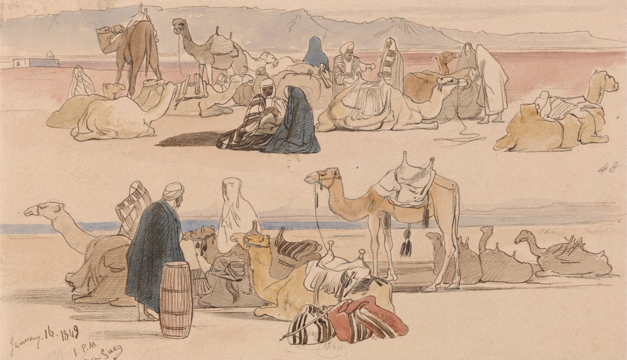 Vicino a Suez, ore 13.00, 16 gennaio 1849 (48) da Edward Lear