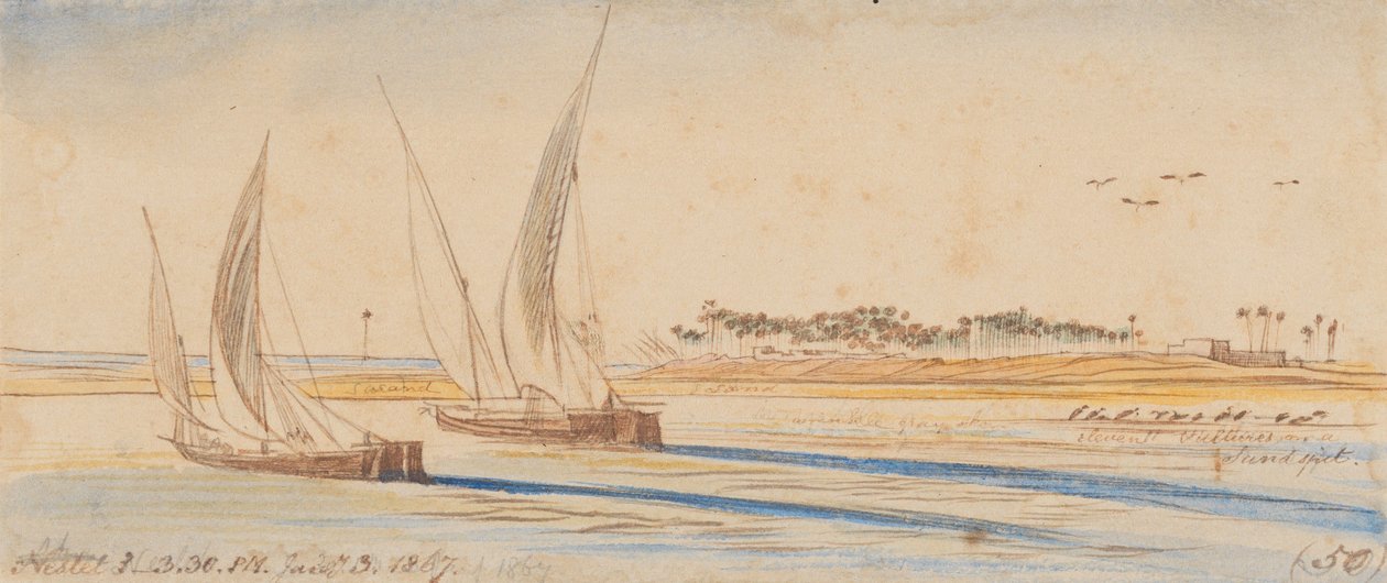 Data: 3 gennaio 1867, ore 15:30 (50) da Edward Lear
