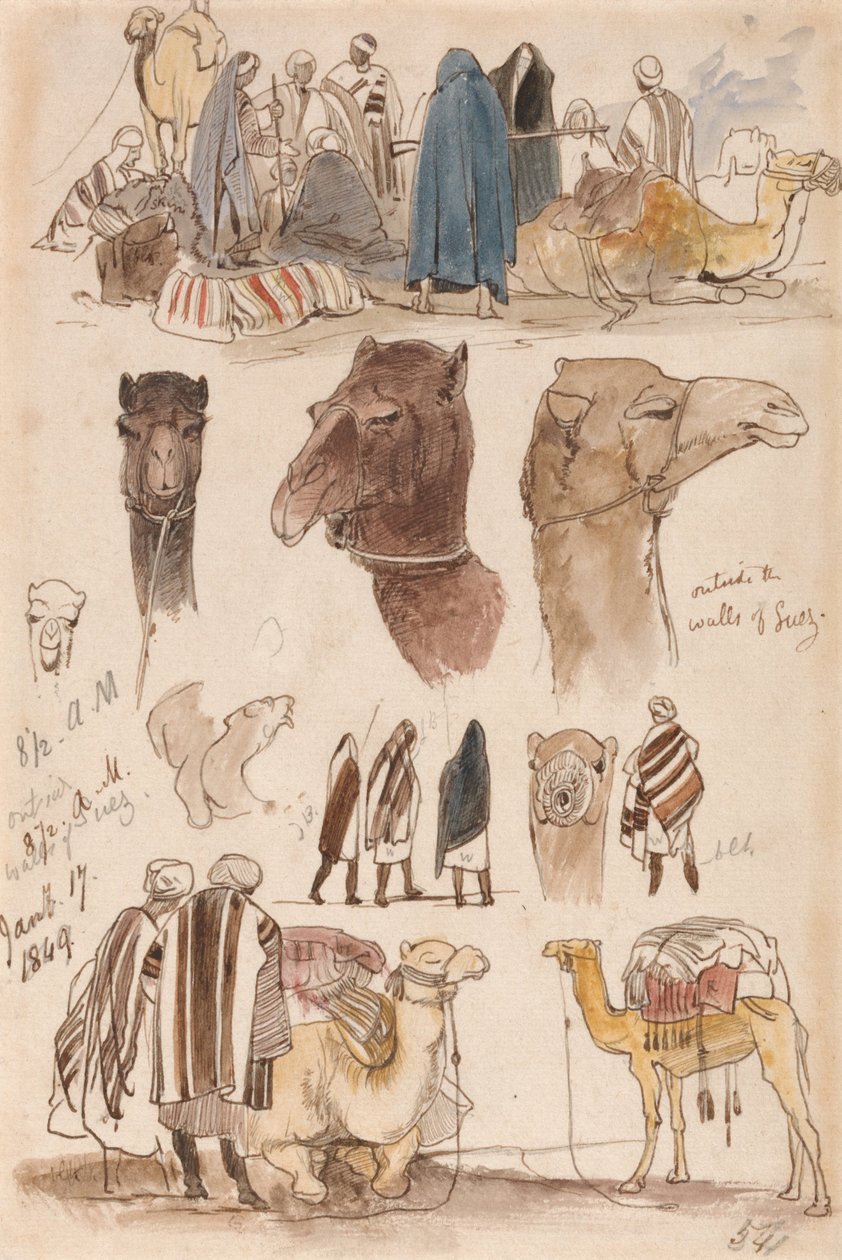 Fuori dalle mura di Suez, ore 8:30 del 17 gennaio 1849 (54) da Edward Lear