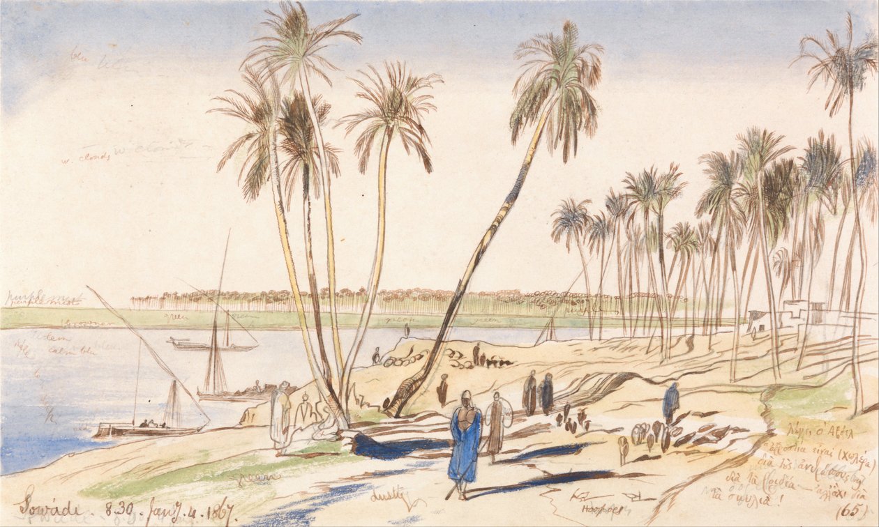 Sowadi, ore 8:30 del 4 gennaio 1867 (65) da Edward Lear