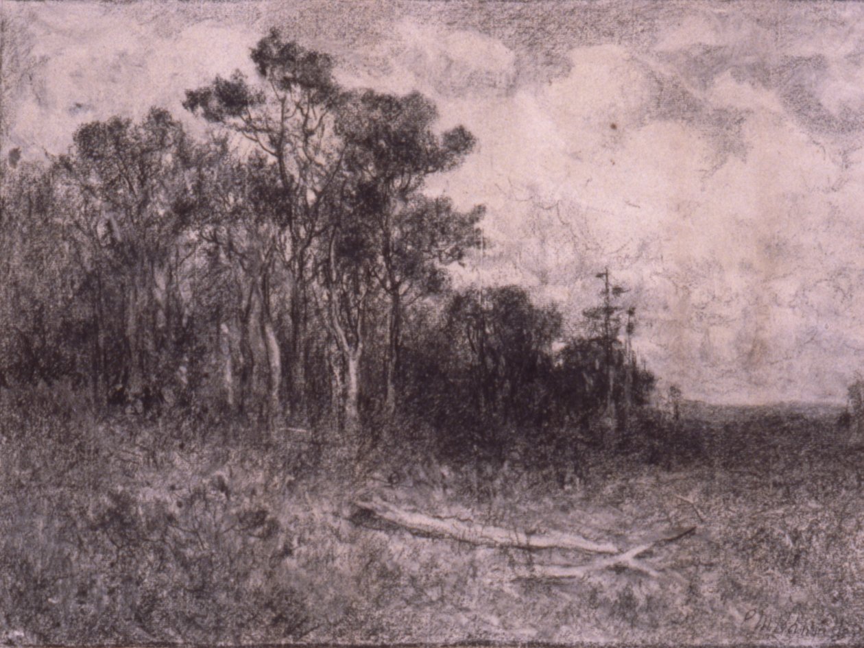 Paesaggio, scena di bosco da Edward Mitchell Bannister