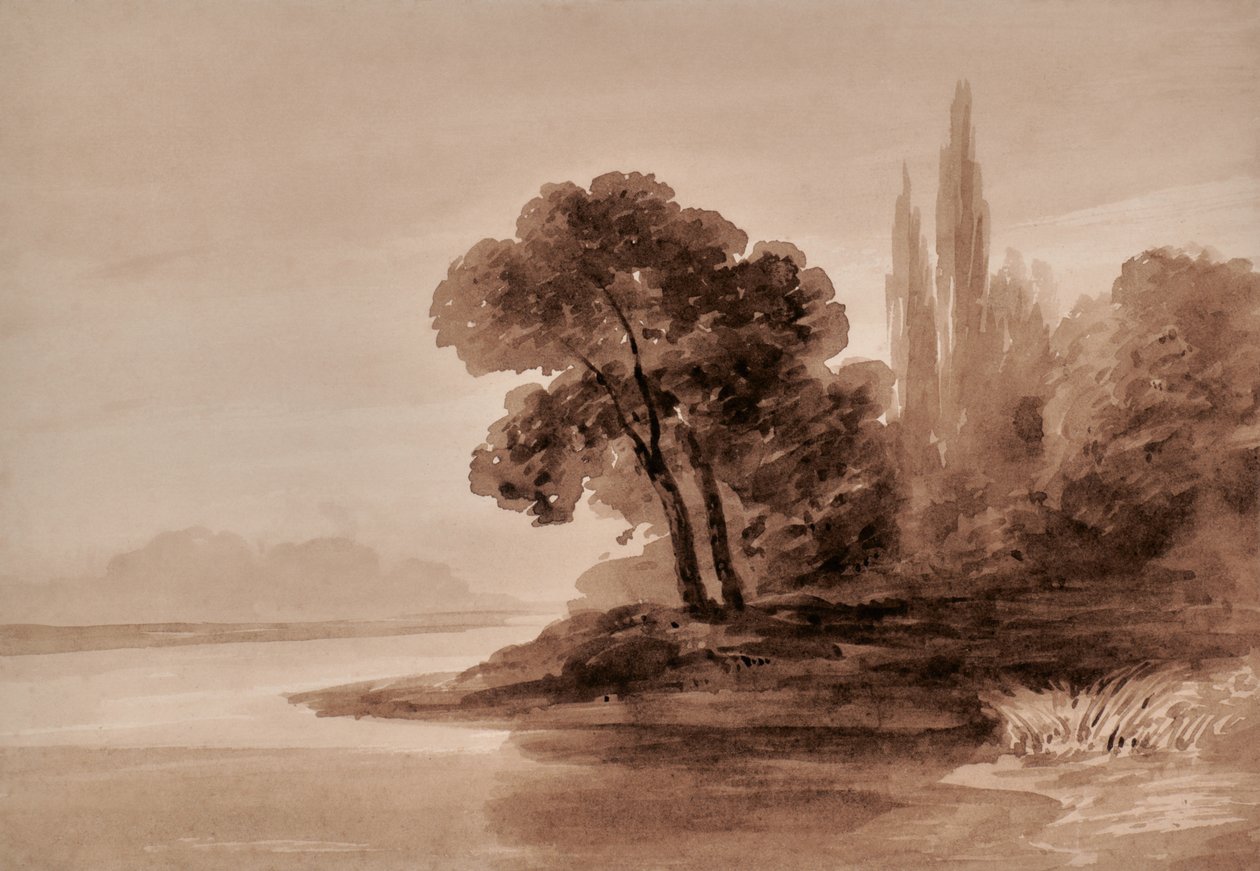 Paesaggio con alberi da Edward Pretty