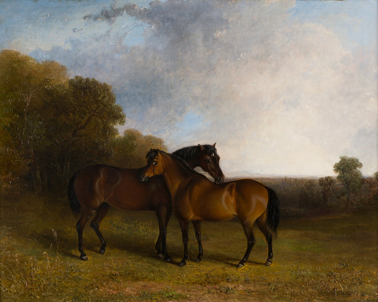 Due cacciatori in un paesaggio (c.1830-99) da Edward Robert Smythe