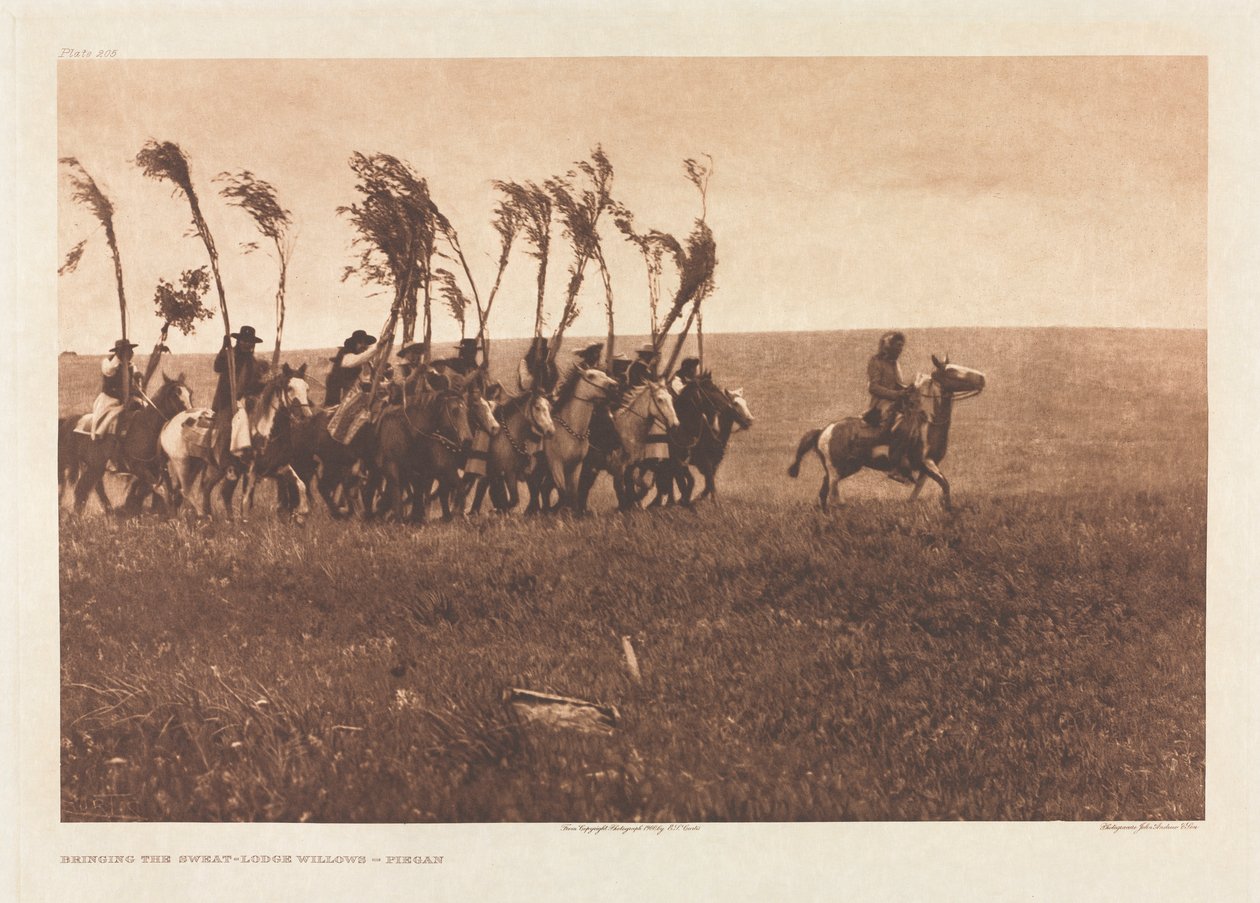 Portfolio VI, Tavola 205: Portando i salici della capanna del sudore - Piegan da Edward S. Curtis