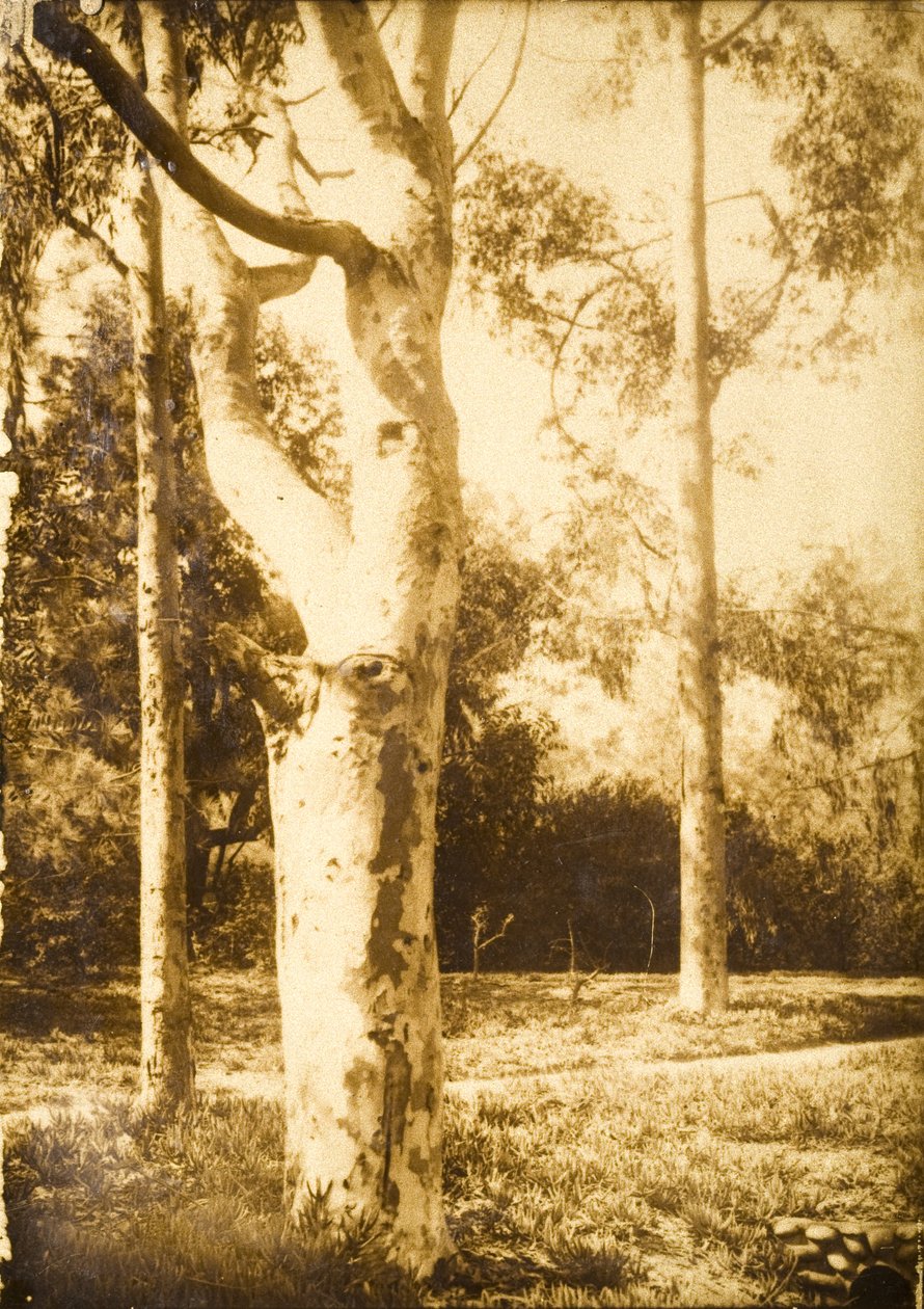 Auf dem Bauernhof, Seattle, Washington da Edward Sheriff Curtis