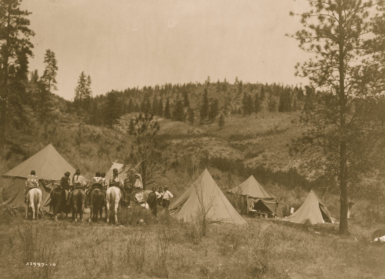 Campo dell