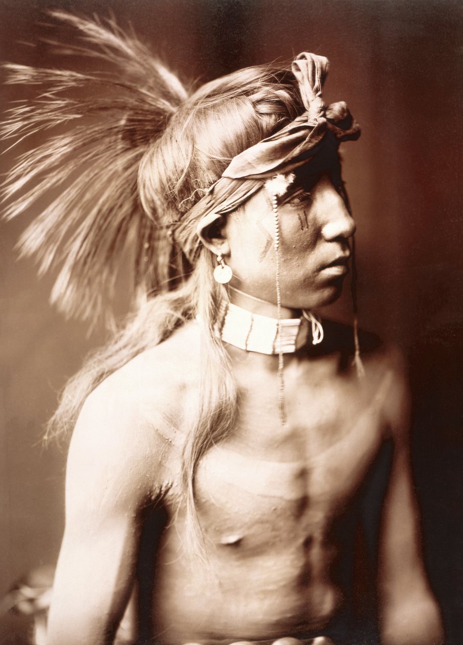 Mostra come va di Edward S. Curtis, c.1904 da Edward Sheriff Curtis