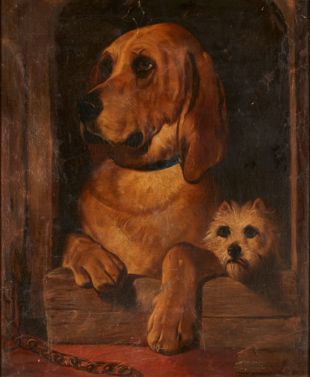 Dignità e impudenza da Edwin (after) Landseer