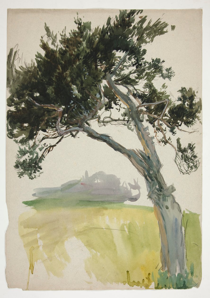 Studio di un albero e campo da Edwin Austin Abbey