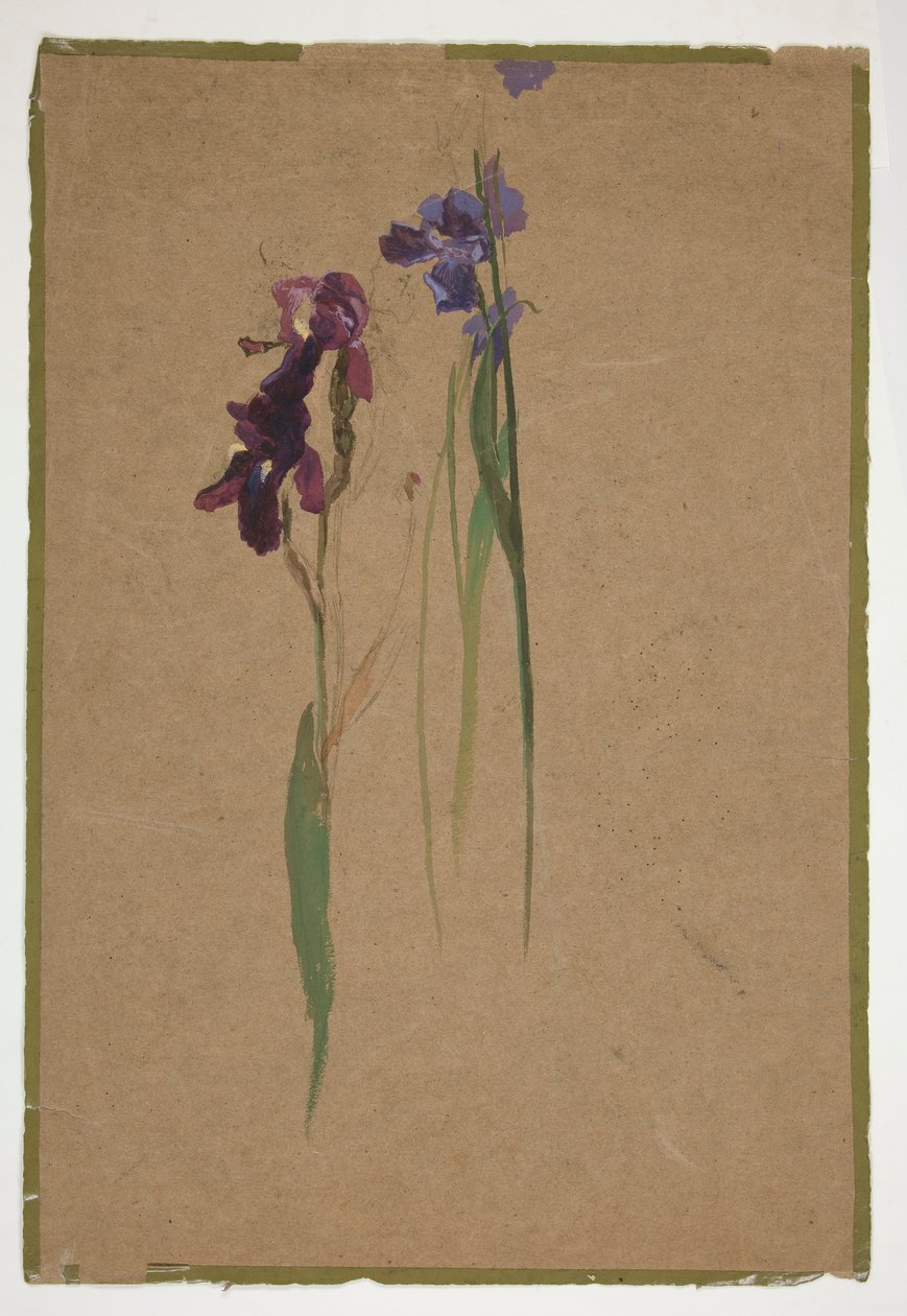 Studio di Iris da Edwin Austin Abbey