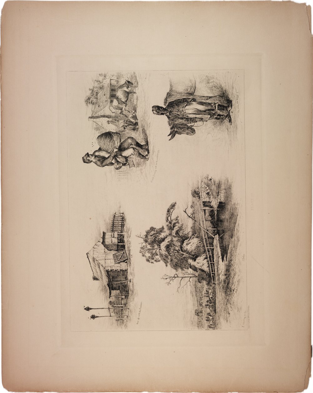 Andato via con gli Yankee da Edwin Austin Forbes