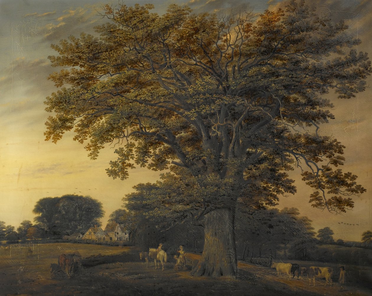 La Quercia di Binley, 1848 da Edwin Brown