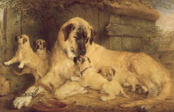 Un tocco di natura rende tutto il mondo parente da Edwin Frederick Holt