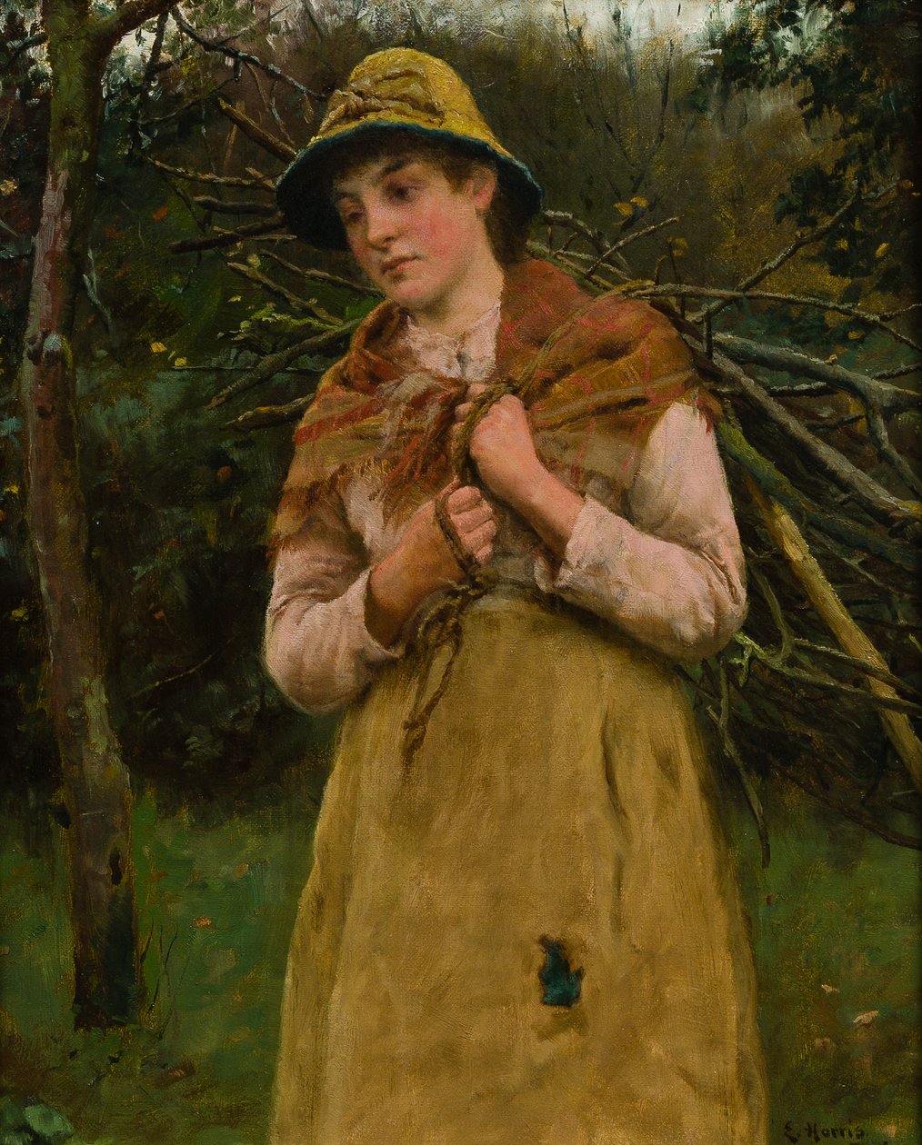 Raccolta di bastoni da Edwin Harris