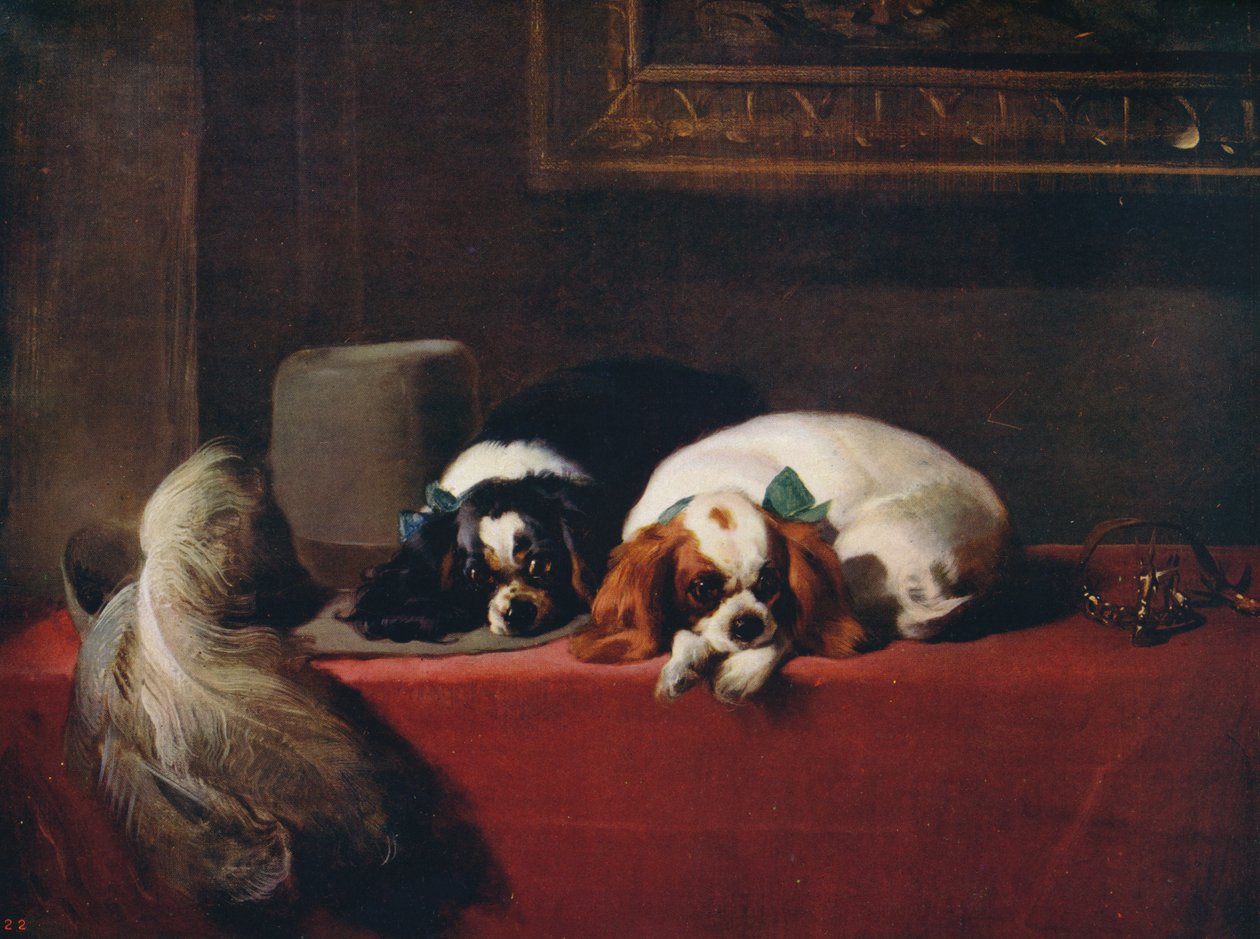 Spaniel di Re Carlo, gli animali domestici dei Cavalieri, 1845, c1915 da Edwin Landseer