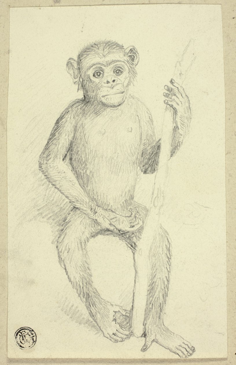 Orangutang da Edwin Henry Landseer
