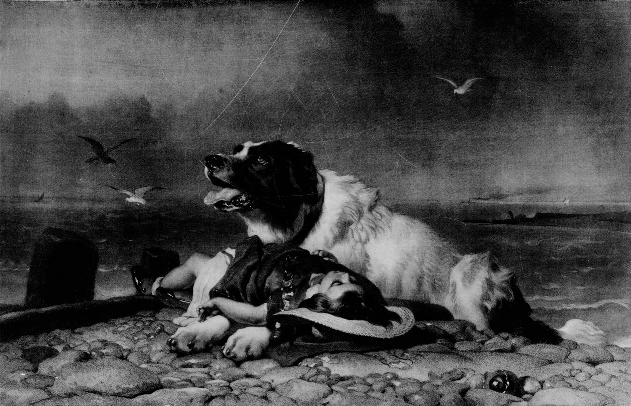 Salvato!, c1856, 1911 da Edwin Landseer