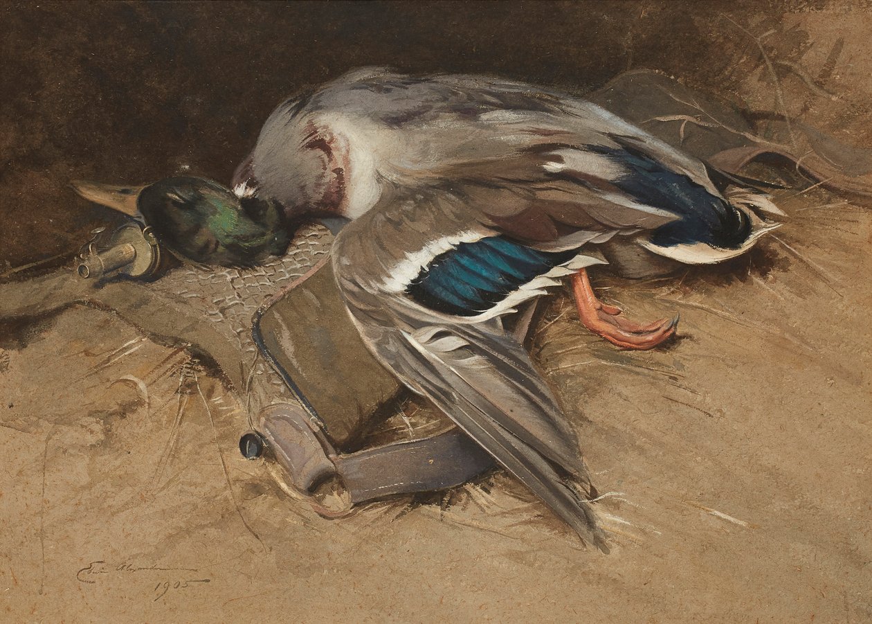 Germano reale da Edwin John Alexander