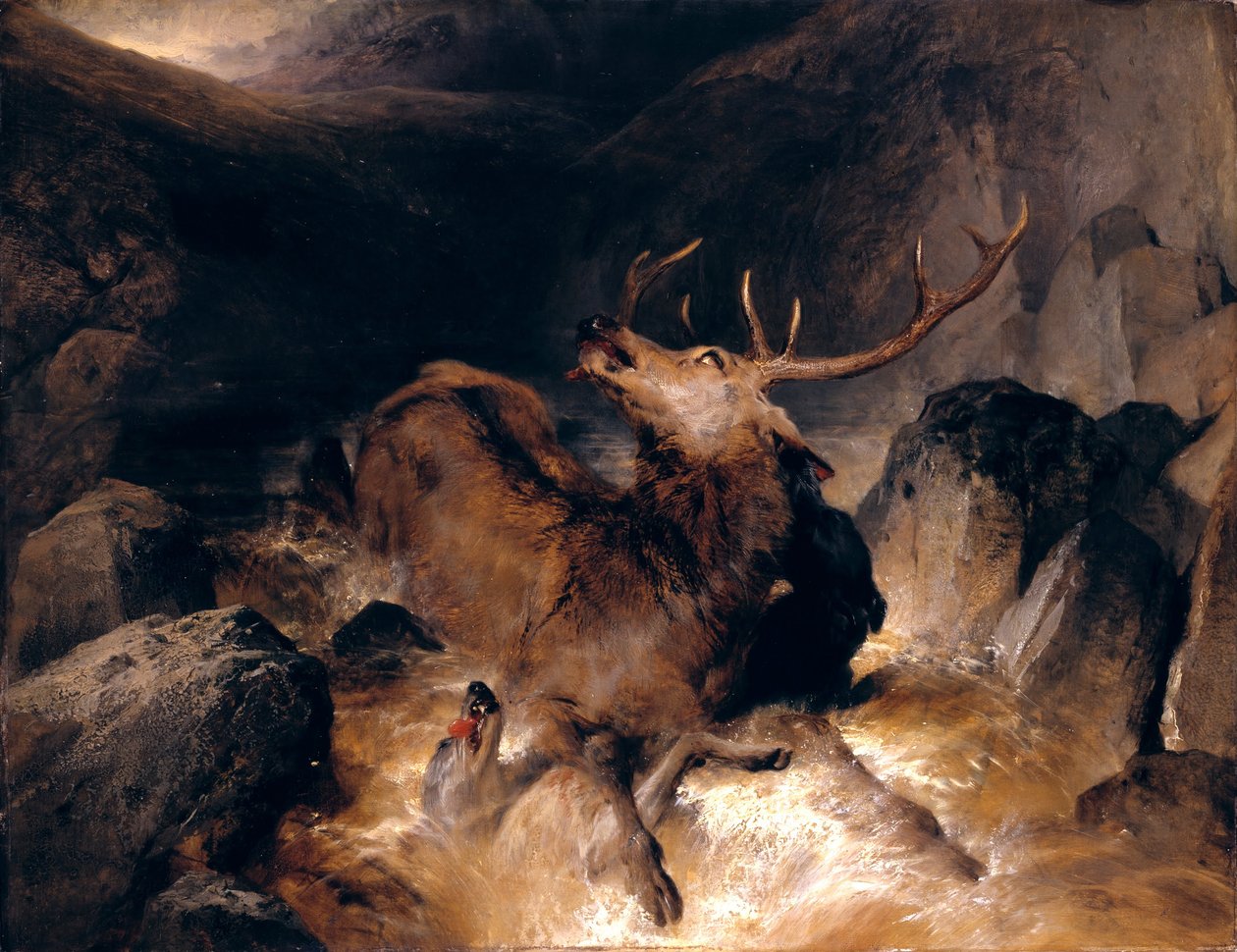 Cervi e levrieri scozzesi in un torrente di montagna da Edwin Landseer
