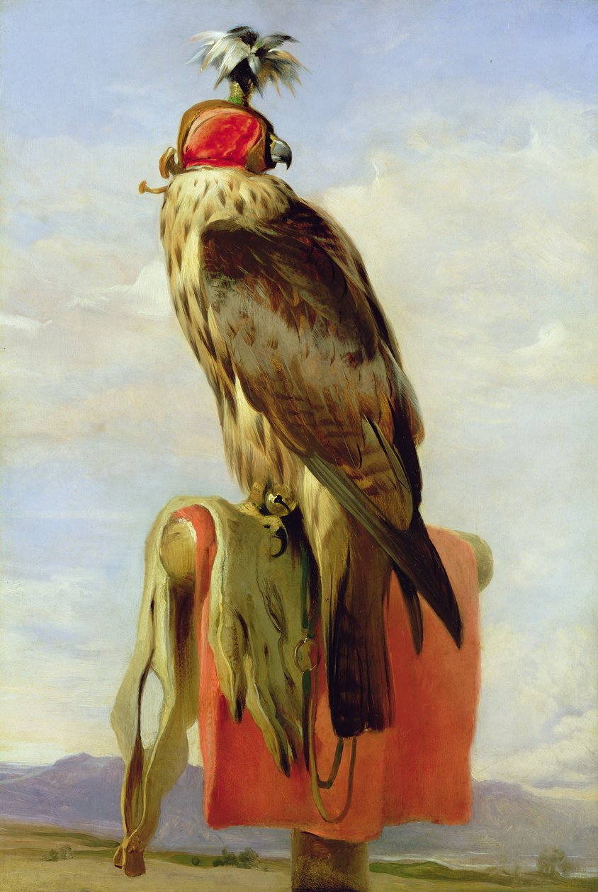 Falco incappucciato da Edwin Landseer