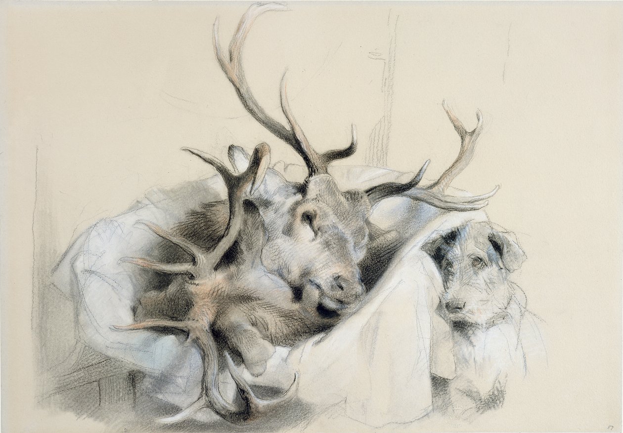 Teste di Cervi e Cane, 1857 da Edwin Landseer