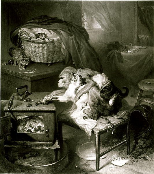 La zampa del gatto da Edwin Landseer