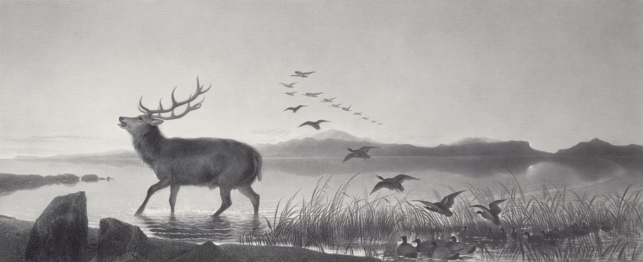 Il salvataggio da Edwin Landseer