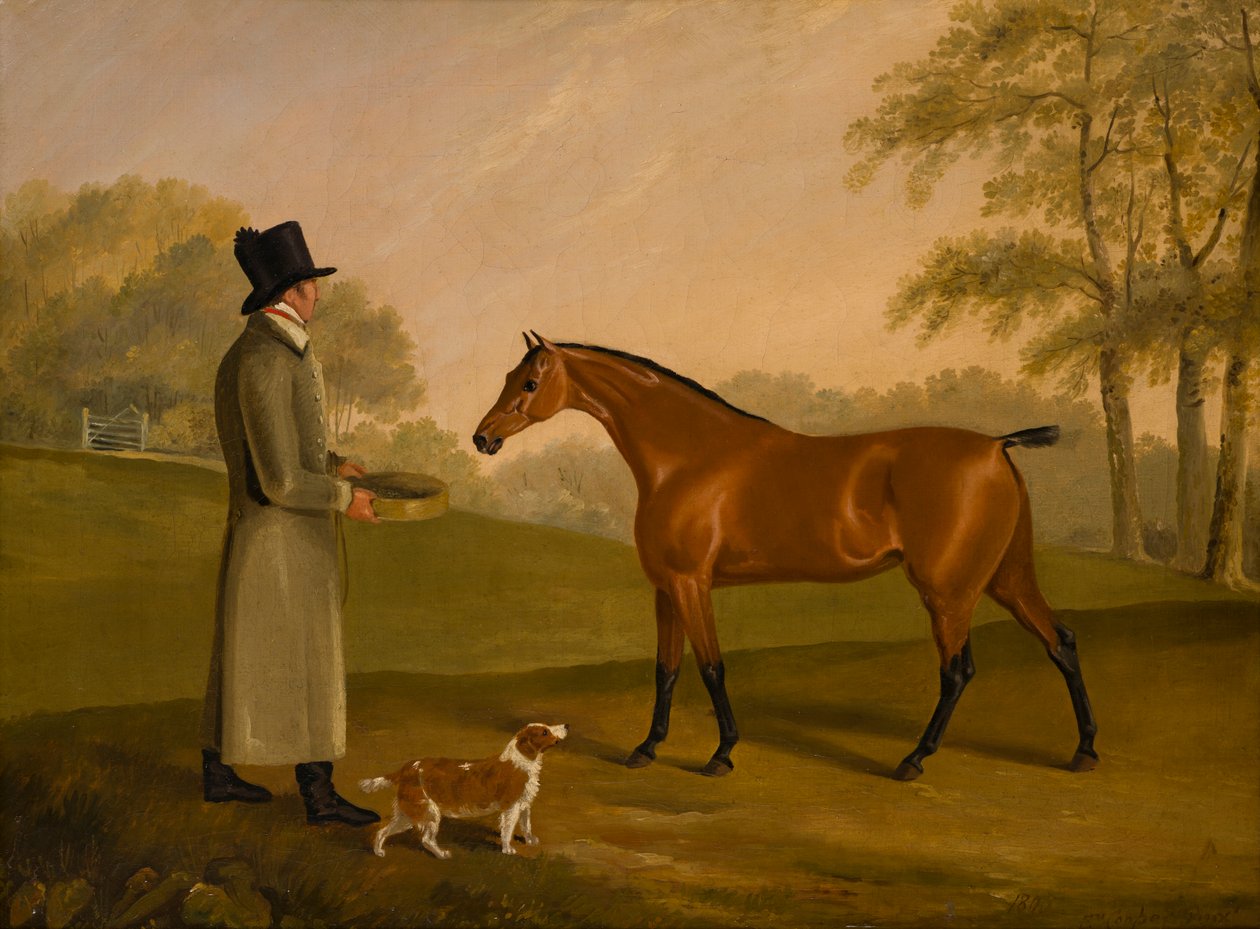 Un cavallo in un paesaggio con il groom, David, Bennet (c.1805) da Edwin W. Cooper