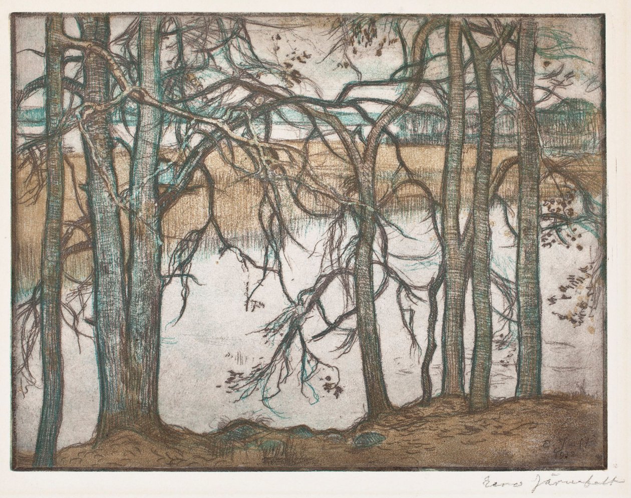 Riva del lago con canneti da Eero Järnefelt