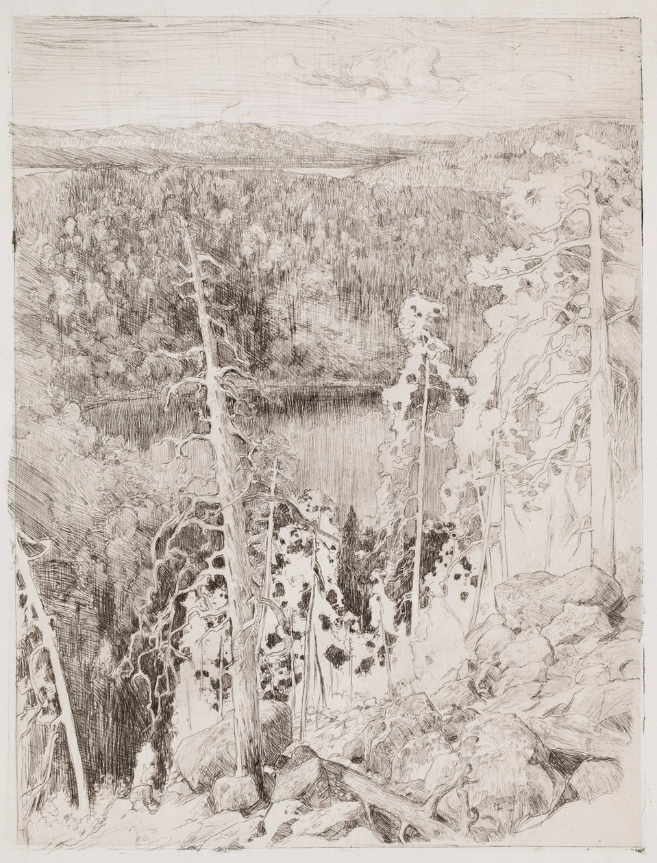 Paesaggio visto da Koli; Paesaggio boschivo visto da Räsävaara da Eero Järnefelt