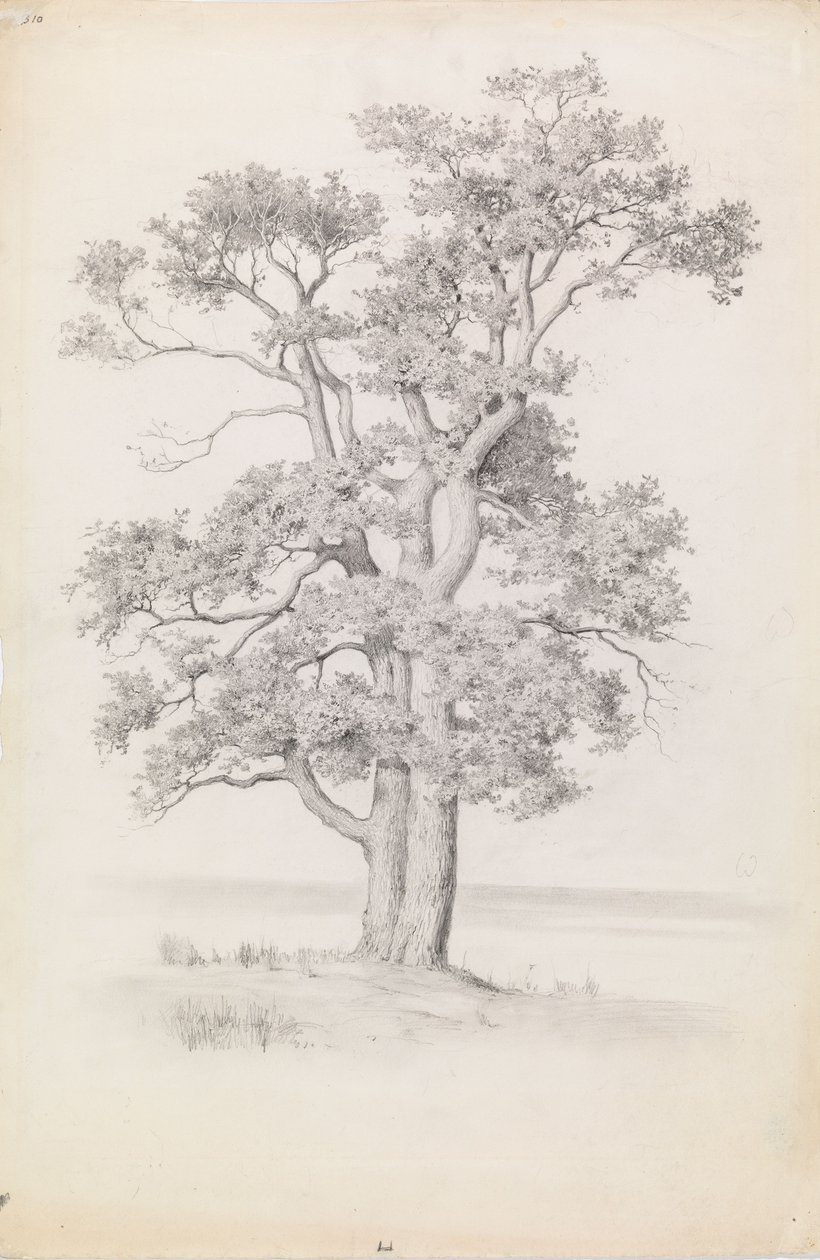 Quercia da Eero Järnefelt