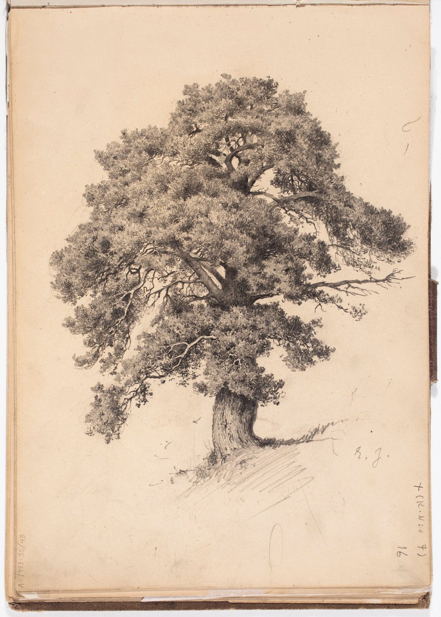 Pino, pagina dal taccuino di schizzi di Järnefelt da Eero Järnefelt