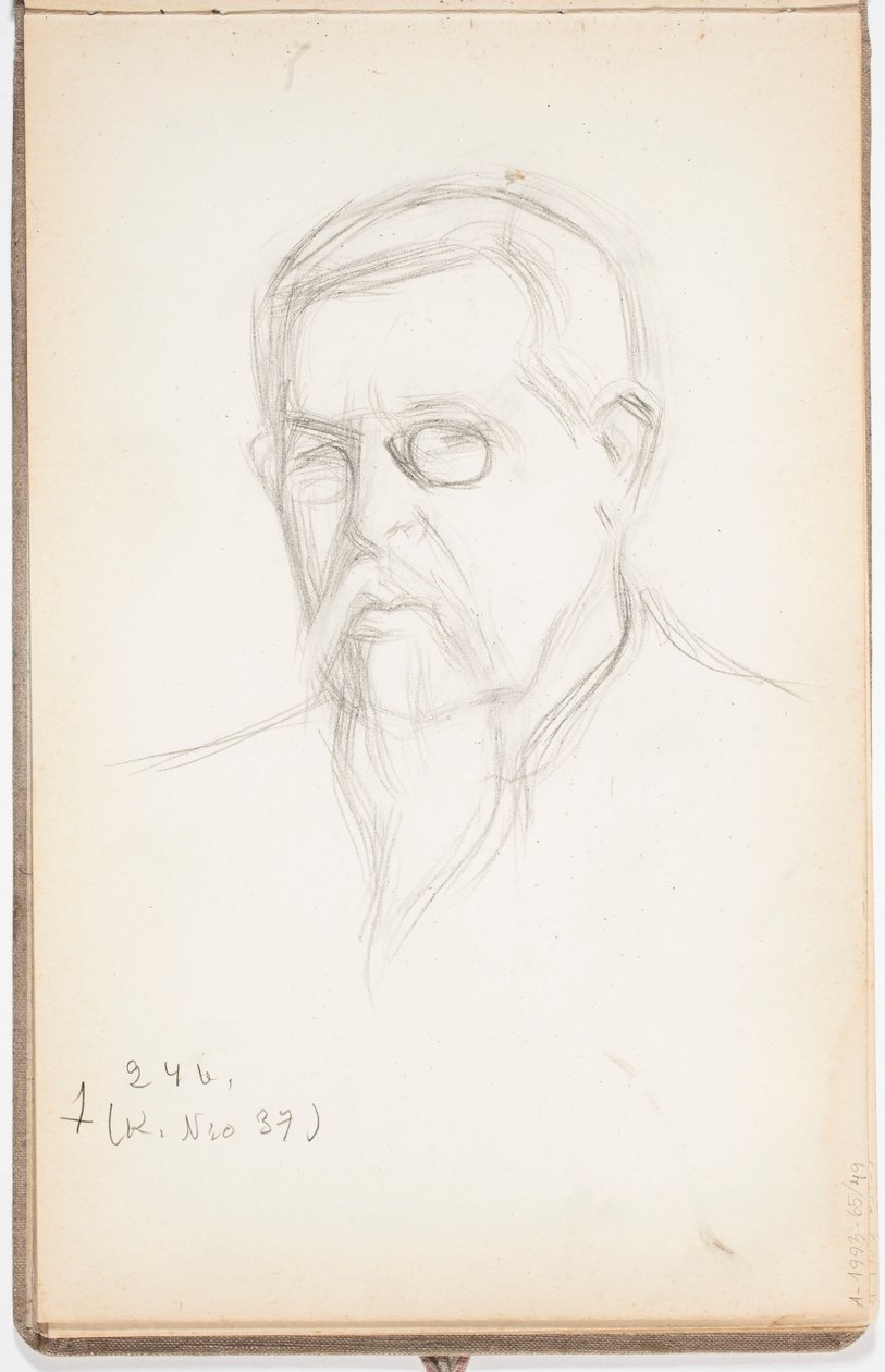 Senza titolo da Eero Järnefelt