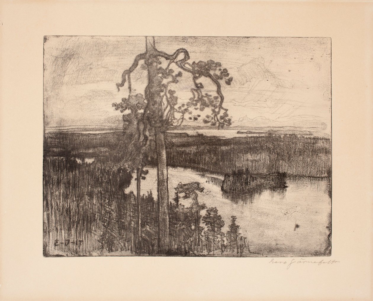 Senza titolo da Eero Järnefelt