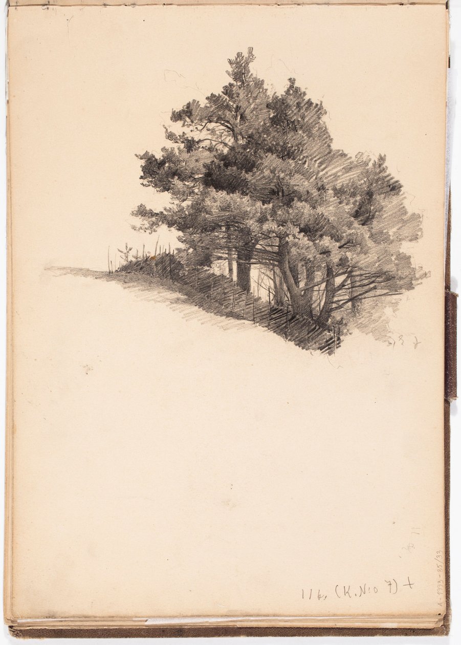 Senza titolo da Eero Järnefelt