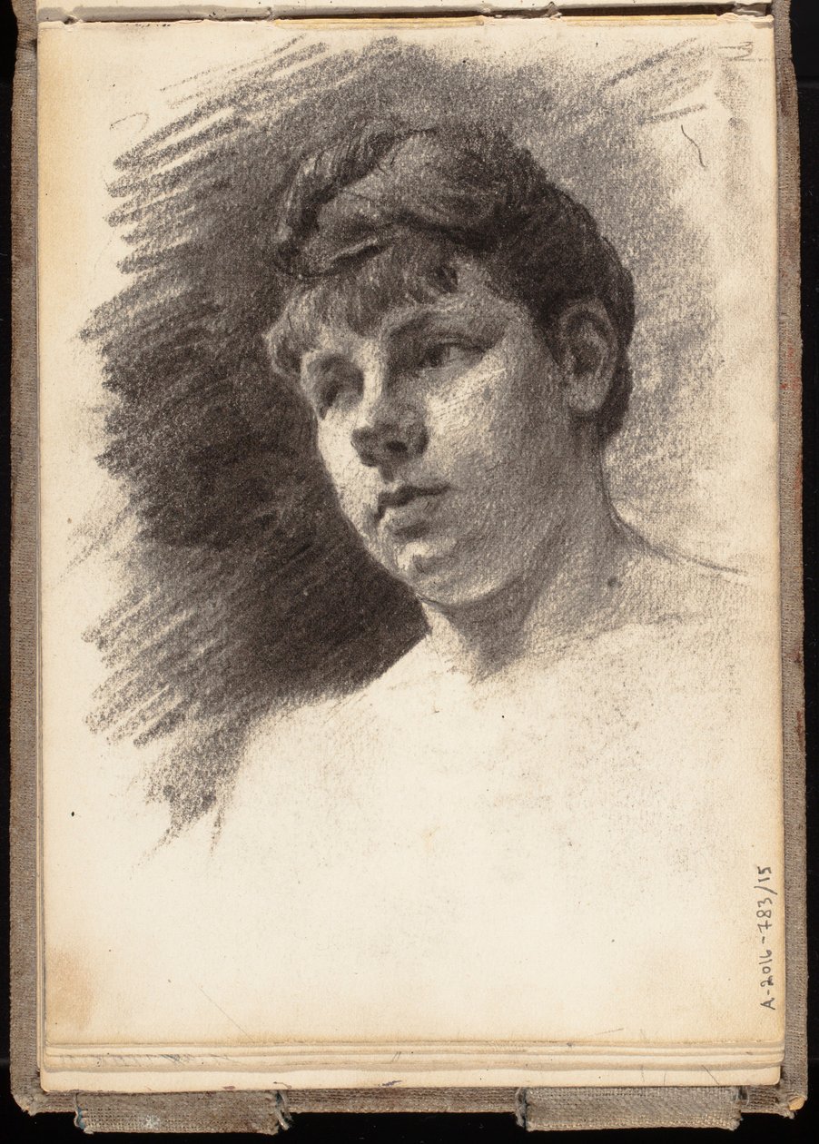 Senza titolo da Eero Järnefelt