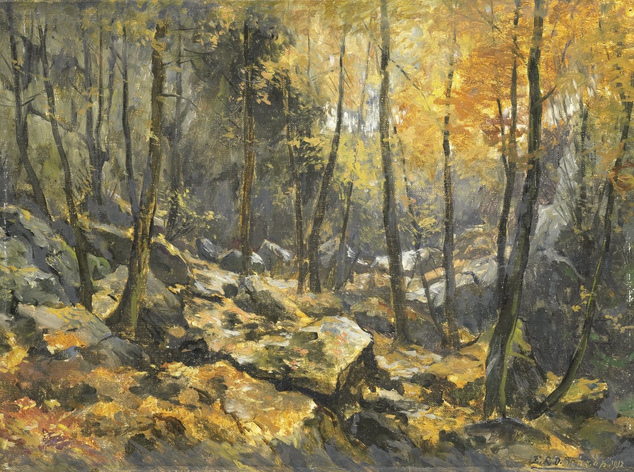Felsenmeer da Egbert Rubertus Derk Schaap
