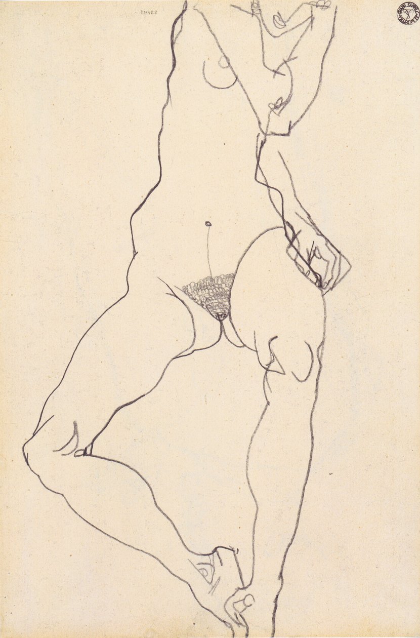 Nudo femminile seduto da Egon Schiele